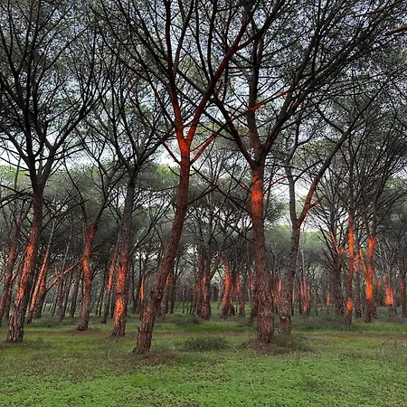 Apartmán Casa Mare & Citta' Bis *