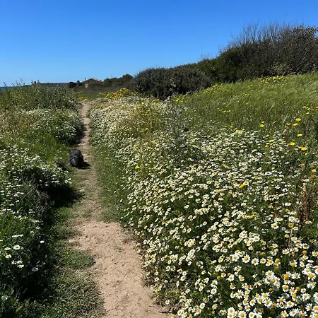 Casa Mare & Citta' Bis Apartmán