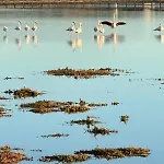 Casa Mare&citta' Bis Oristano