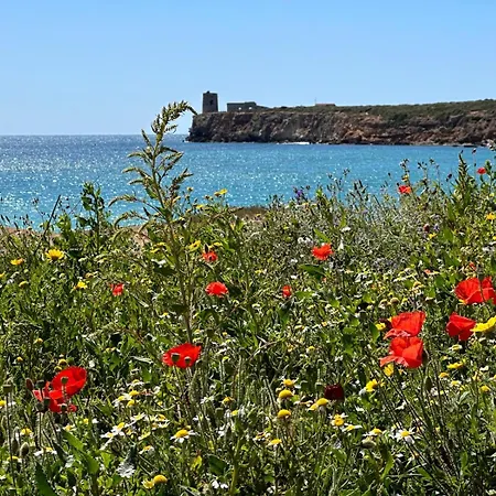 Casa Mare & Citta' Bis أوريستانو