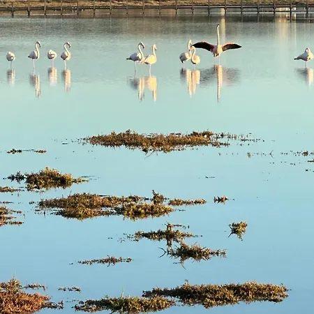 Casa Mare & Citta' Bis أوريستانو